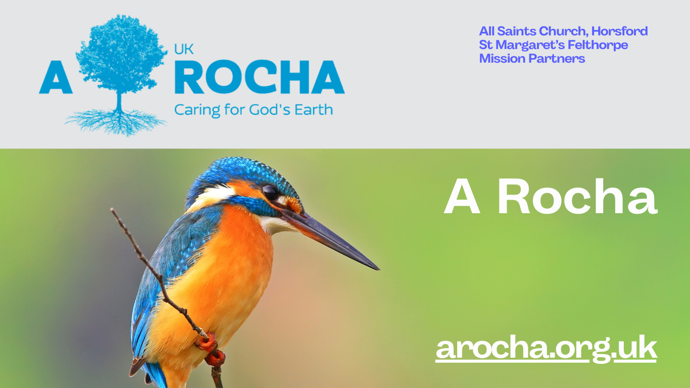 A Rocha - All Saints Horsford & St. Margaret's Felthorpe Mission Partners