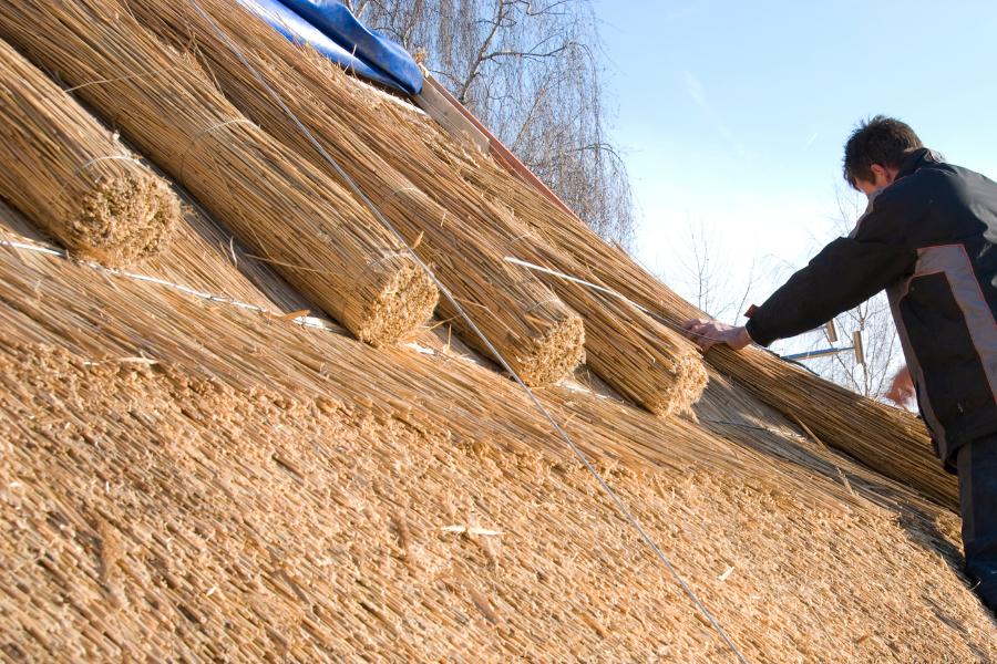 ASC Thatched Roof appeal.png
