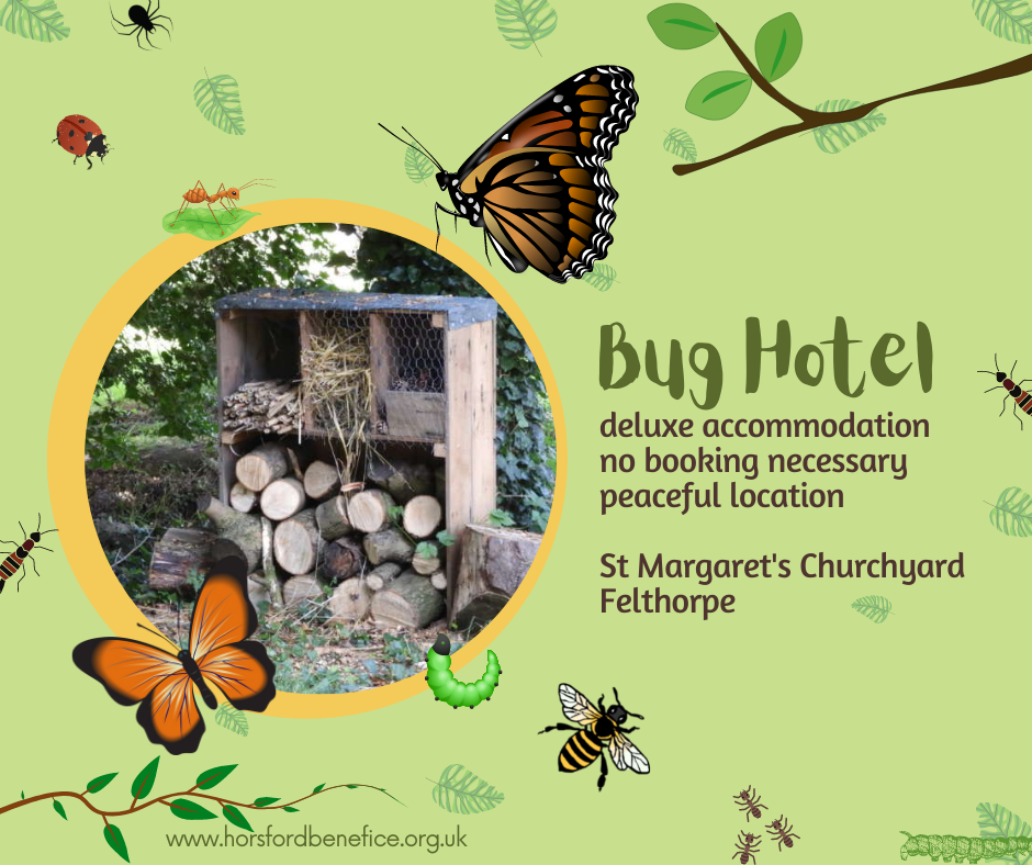 Bug Hotel - Felthorpe